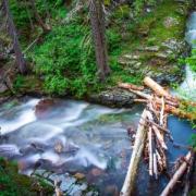 A small creek running by