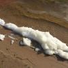 white PFAS foam on beach