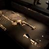 Australopithecus afarensis skeleton known as Lucy