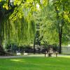 woman sitting on bench near stream in a park