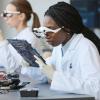 female scientists working at lab bench