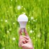 hand holding LED lightbulb against a background of green grass