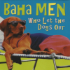 Who Let the Dogs Out single cover