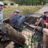 Jack Carter, Colin McDonald and Amanda Opp in the back of a truck with a beaver in a cage