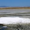Explosed white mounds in Great Salt Lake.