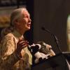Jane Goodall and Humanism