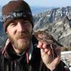 Researcher holding finch