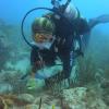 Coral rescue