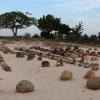 rocks