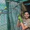 Budgerigar Research