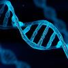 DNA