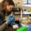 Sara Campione pipettes samples into a 96-well plate as part of her research on Burmese python liver genetics.