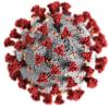 Coronavirus stock photograph