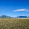 grasslands