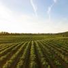 Winery