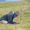 Daniel Doak, a conservation biologist, was hired by CU-Boulder as its first Colorado Chair in Environmental Studies. Here, he works at CU’s Mountain Research Station on Niwot Ridge west of Boulder. Photo by Camille Mona Howitaawi Del Duca.