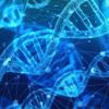 stock dna photo