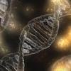 DNA