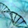 DNA