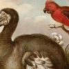 CU research IDs new strategy to fight species extinction