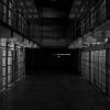 Prison walls