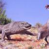 An illustration of the giant flightless bird known as Genyornis newtoni, surprised on her nest by a 1 ton, predatory lizard named Megalania prisca in Australia roughly 50,000 years ago. Illustration by Peter Trusler, Monash University.