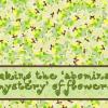 Cartoon of many flowers 