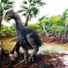 A new study involving CU-Boulder and the Chinese Academy of Sciences has confirmed that a flightless bird weighing several hundred pounds roamed Ellesmere Island in the high Arctic about 50 million years ago. Its name is Gastornis. Illustration by Marlin Peterson