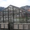 The greenhouse on the roof of the Ramaley Biology building is partly obscured from view at ground level. Up on the roof, it enjoys the full benefit of those famous 300 days of Boulder sunshine annually. Photo by Laura Kriho.
