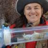 Photograph of Chris Ray with an unconscious pika