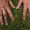 Stock photo of hands in the dirt