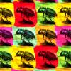 Beetles