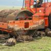 a clan of hyenas resting under a broken-down roller