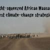 Maasai pastoralists have adopted coping mechanisms for drought that indicate rising levels of social stratification and might help social scientists understand how these people would adapt to changing climate in Africa. Photo by Mara J. Goldman.
