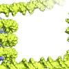 DNA Folding
