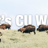 lcuw