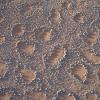 Nambian Fairy Circle