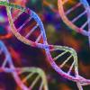 colorful illustration of DNA strands