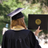 undergraduate