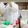 people working in science laboratory