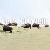 Let's CU Well header image