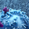 Proteins with T-Cells