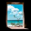 caribbean traditions