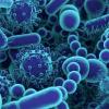 Microbiome