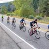 Buffalo Bicycle Classic on a mountain road