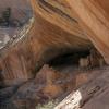 Bears ears