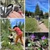 Scenes from the CU Mountain Research Station