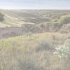 nebraska