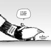 Cartoon of man hugging giant tail titled "Social Media"