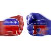 Like-minded discourse breeds extremism